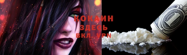 круглые Абаза