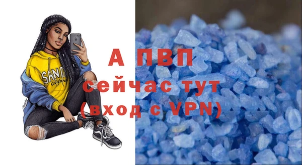 круглые Абаза