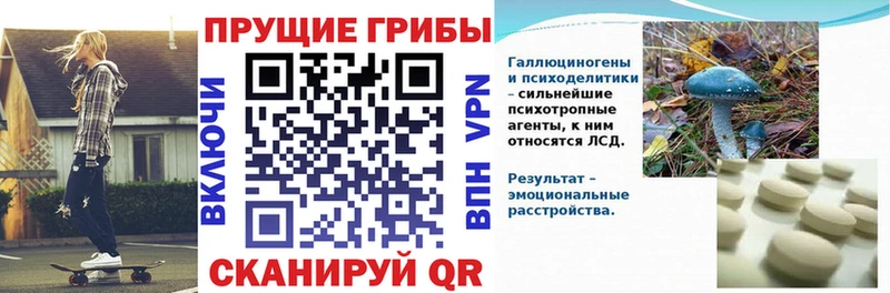 Псилоцибиновые грибы GOLDEN TEACHER  Приморско-Ахтарск 