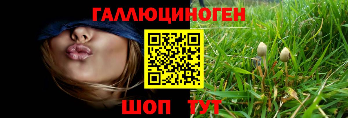 Псилоцибиновые грибы Psilocybine cubensis Приморско-Ахтарск