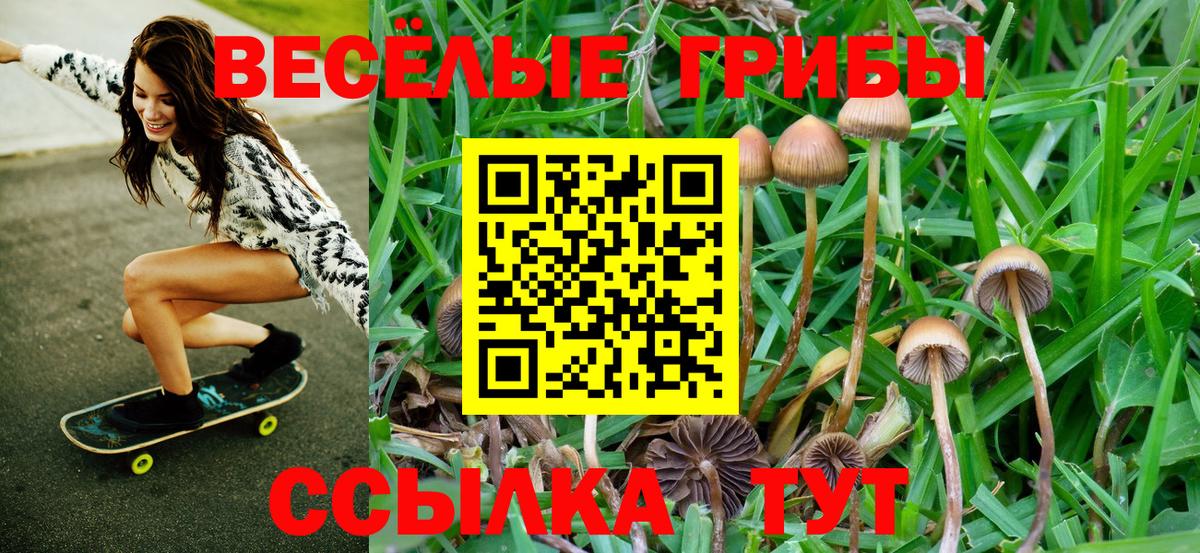 Приморско-Ахтарск  где продают   Галлюциногенные грибы MAGIC MUSHROOMS  Вход с VPN  Псилоцибиновые грибы ЛСД 
